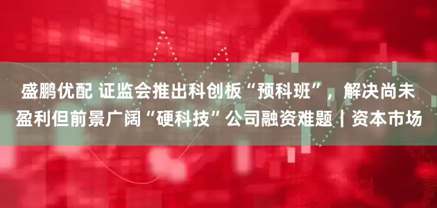 盛鹏优配 证监会推出科创板“预科班”，解决尚未盈利但前景广阔“硬科技”公司融资难题｜资本市场