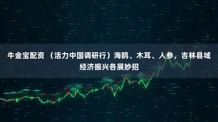 牛金宝配资 （活力中国调研行）海鸥、木耳、人参，吉林县域经济振兴各展妙招