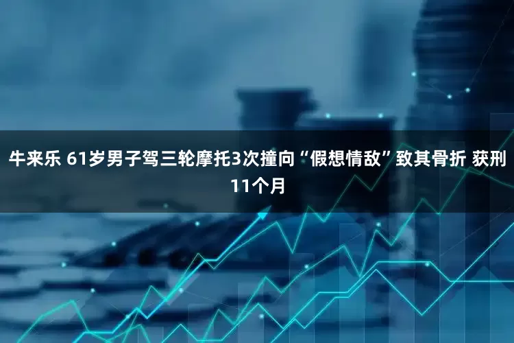 牛来乐 61岁男子驾三轮摩托3次撞向“假想情敌”致其骨折 获刑11个月