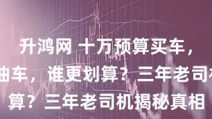 升鸿网 十万预算买车，电车VS燃油车，谁更划算？三年老司机揭秘真相